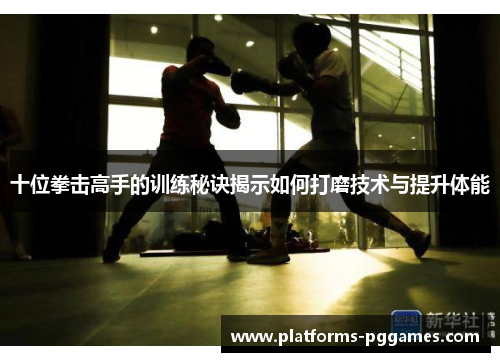 十位拳击高手的训练秘诀揭示如何打磨技术与提升体能