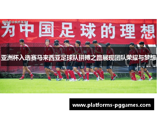 亚洲杯入选赛马来西亚足球队拼搏之路展现团队荣耀与梦想