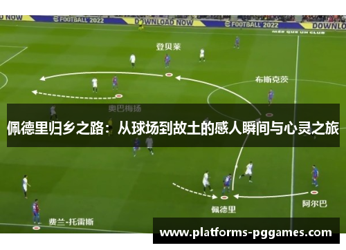 佩德里归乡之路：从球场到故土的感人瞬间与心灵之旅