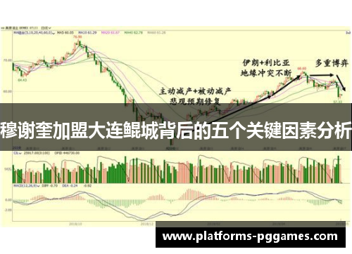 穆谢奎加盟大连鲲城背后的五个关键因素分析