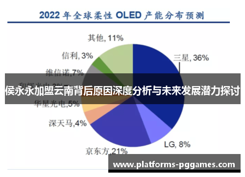 侯永永加盟云南背后原因深度分析与未来发展潜力探讨