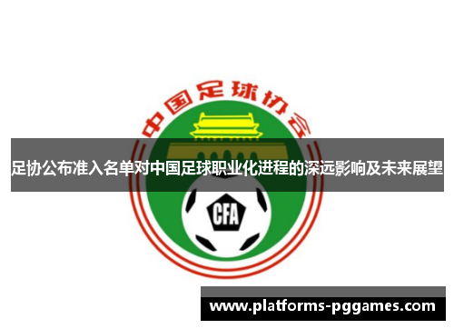 足协公布准入名单对中国足球职业化进程的深远影响及未来展望