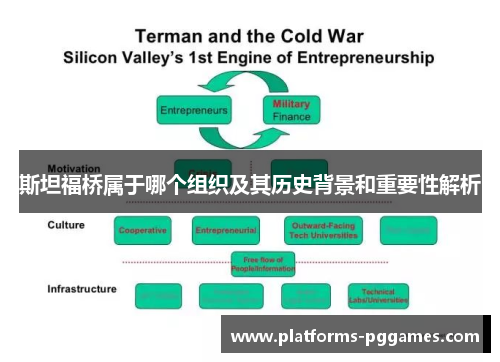 斯坦福桥属于哪个组织及其历史背景和重要性解析